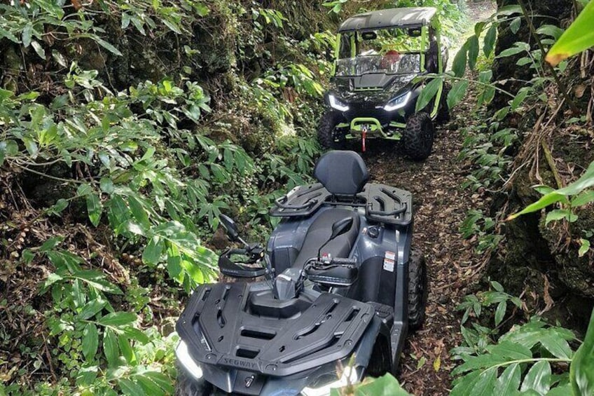 Adventure by buggy in Mount Pico