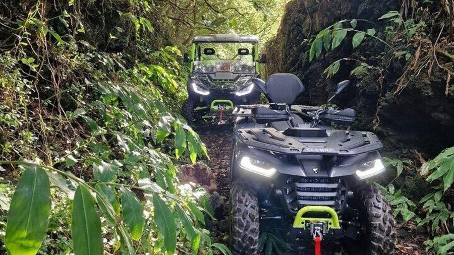 Adventure by buggy in Mount Pico
