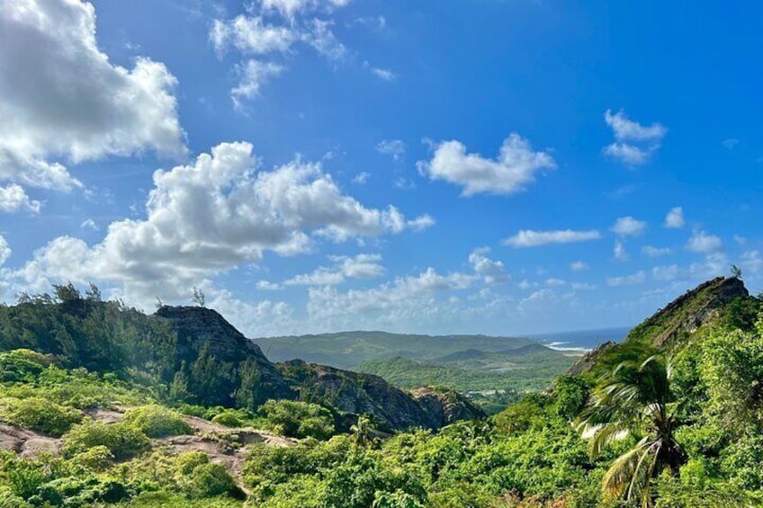 Barbados Paradise Tour with Hotel Transfers