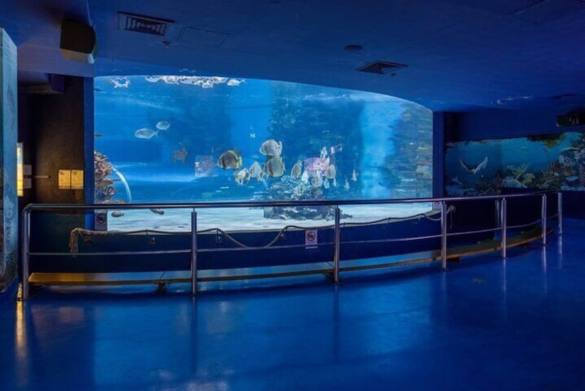 Budapest Tropicarium