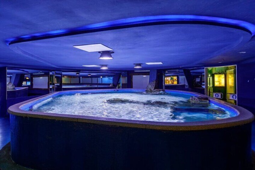 Budapest Tropicarium