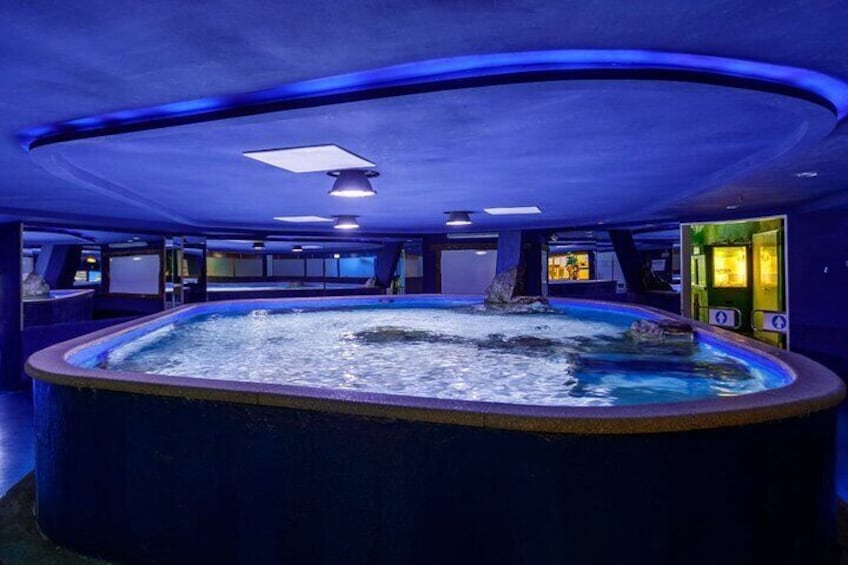 Budapest Tropicarium