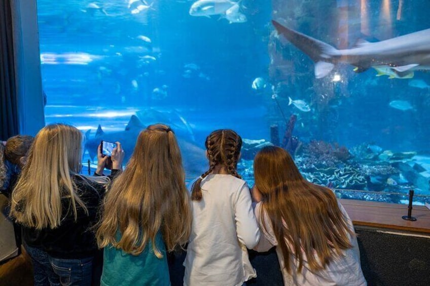 Budapest Tropicarium