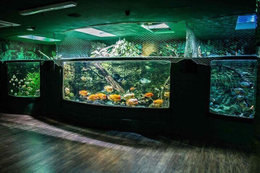 Budapest Tropicarium