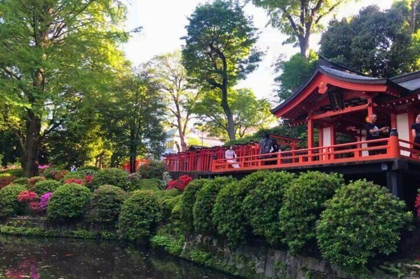 Tokyo Old Town: Nezu & Yanaka Tour with Sakura & Hidden Spots