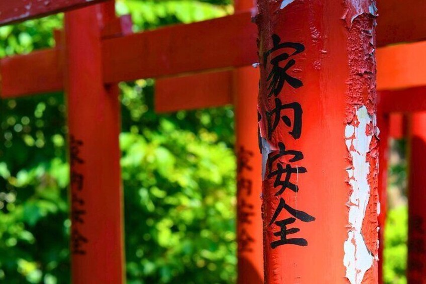 Tokyo Old Town: Nezu & Yanaka Tour with Sakura & Hidden Spot