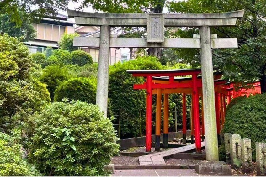 Tokyo Old Town: Nezu & Yanaka Tour with Sakura & Hidden Spot