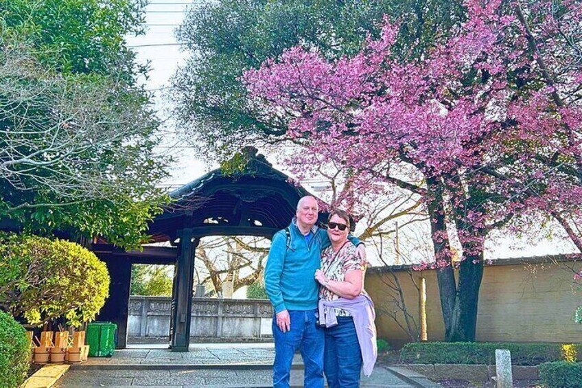 Tokyo Old Town: Nezu & Yanaka Tour with Sakura & Hidden Spots