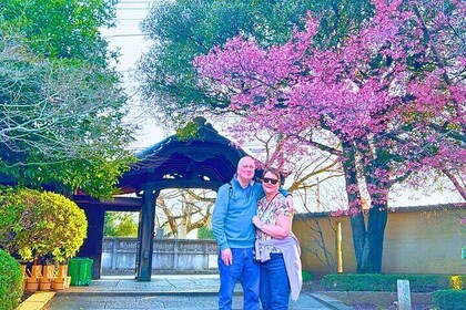 Tokio: Recorrido a pie por la historia del casco antiguo (Nezu y Yanaka)