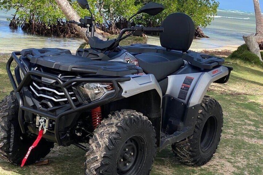 Best tours and excursions in Las Terrenas, Samaná