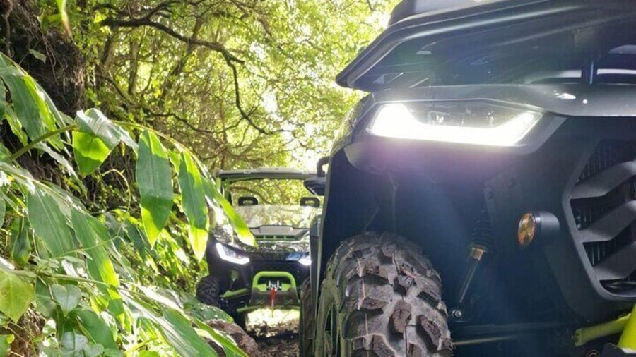 Buggy Tour by Lagoas and Mountain House