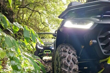 Buggy Tour by Lagoas and Mountain House