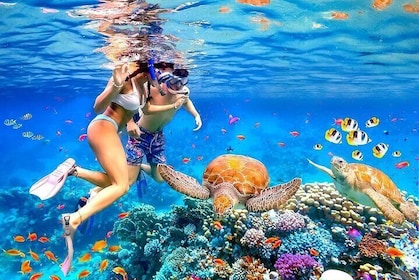 Scuba Diving Adventure and Coral Reefs in Nha Trang