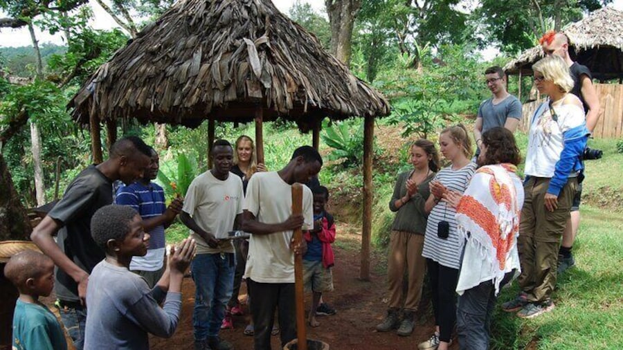 Experience Materuni Waterfalls and Kikuletwa Hot Springs