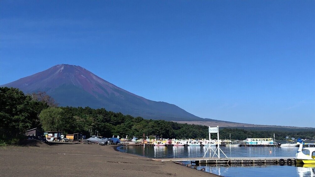 From Tokyo: Mt. Fuji Lawson & Mt. Fuji Iconic Lakes 1-Day Bus Tour