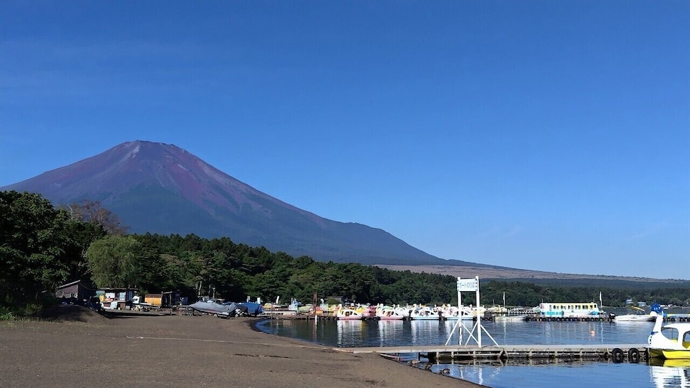 From Tokyo: Mt. Fuji Lawson & Mt. Fuji Iconic Lakes 1-Day Bus Tour