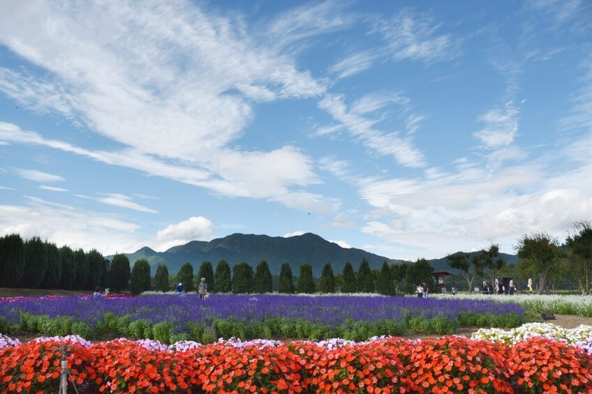 From Tokyo: Mt. Fuji Lawson & Mt. Fuji Iconic Lakes 1-Day Bus Tour