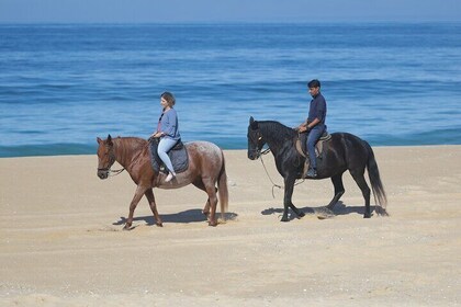 Discovering Silver Coast Adventure