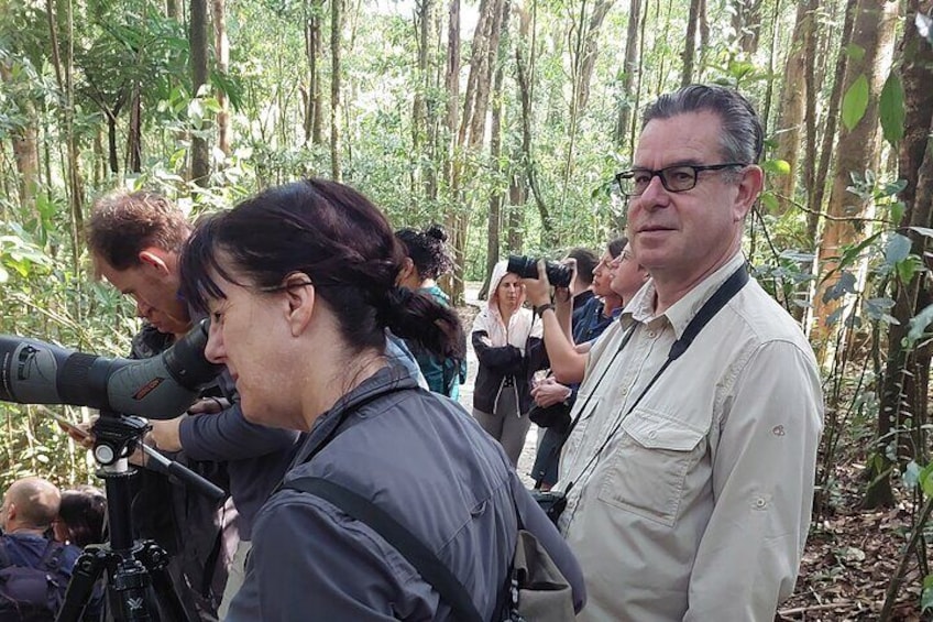 Natural History Walk in the Cloud Forest in Monteverde