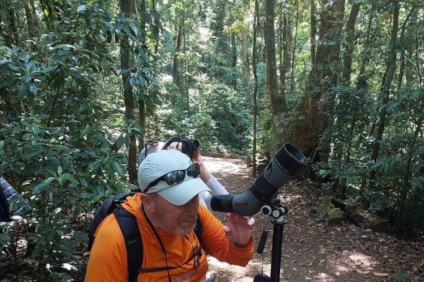 Natural History Walk in the Cloud Forest in Monteverde