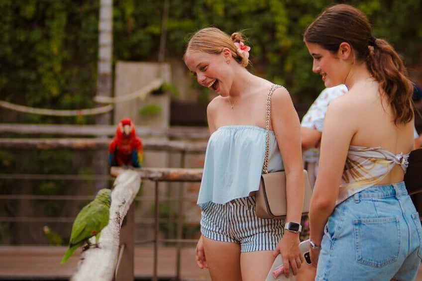 Walk-In Bird Sanctuary
