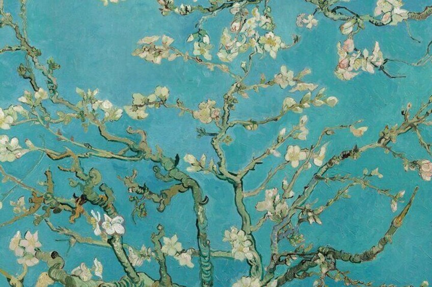  Van Gogh Museum Guided Tour with Admission Ticket