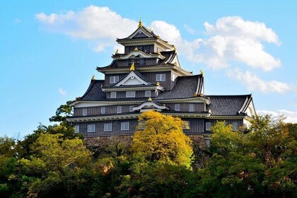 1 Day Okayama Guided Walking Tour