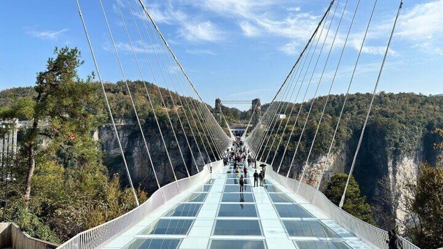 Zhangjiajie Grand Canyon Ticket Booking