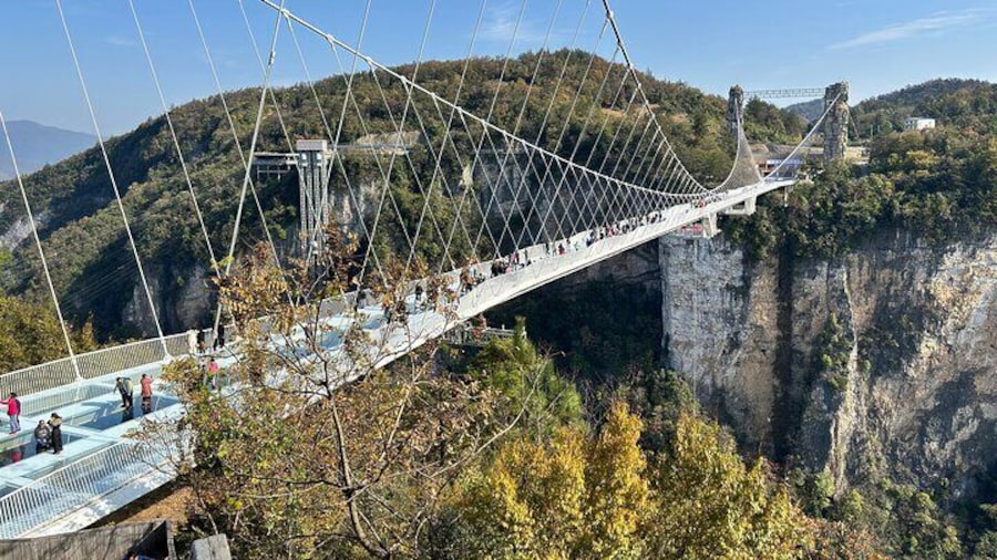 Zhangjiajie Grand Canyon Ticket Booking