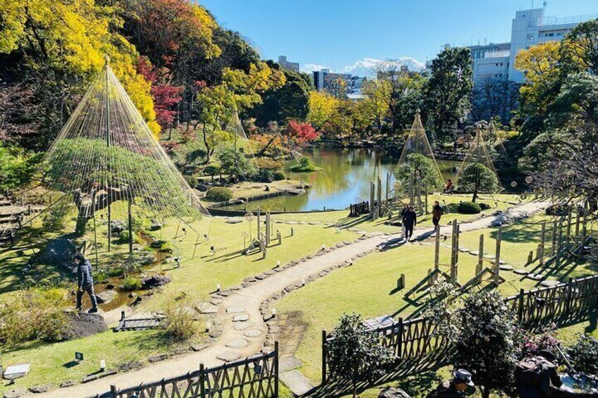 Waseda: Dyeing Workshop and Japanese Garden