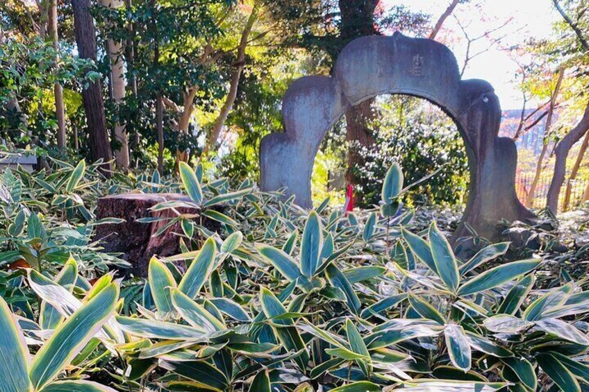 Waseda: Dyeing Workshop and Japanese Garden