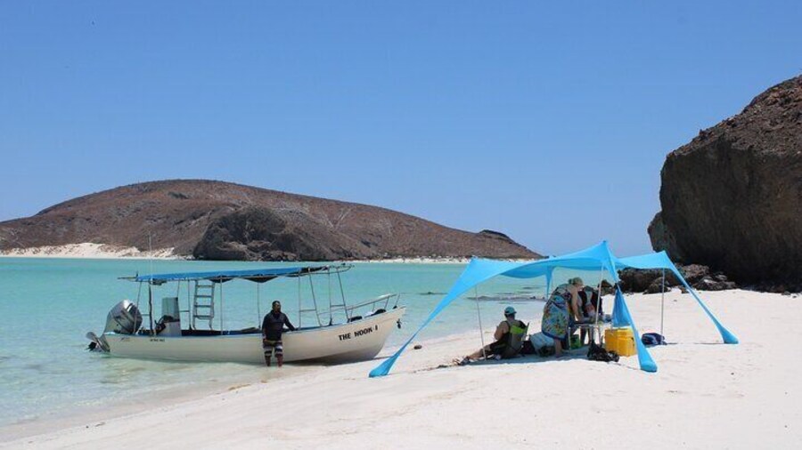 Most Popular Tour in La Paz Isla Espíritu Santo and Sea Lions