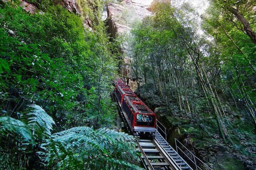 Blue Mountain Tour with Hop on and Hop Off Bus 