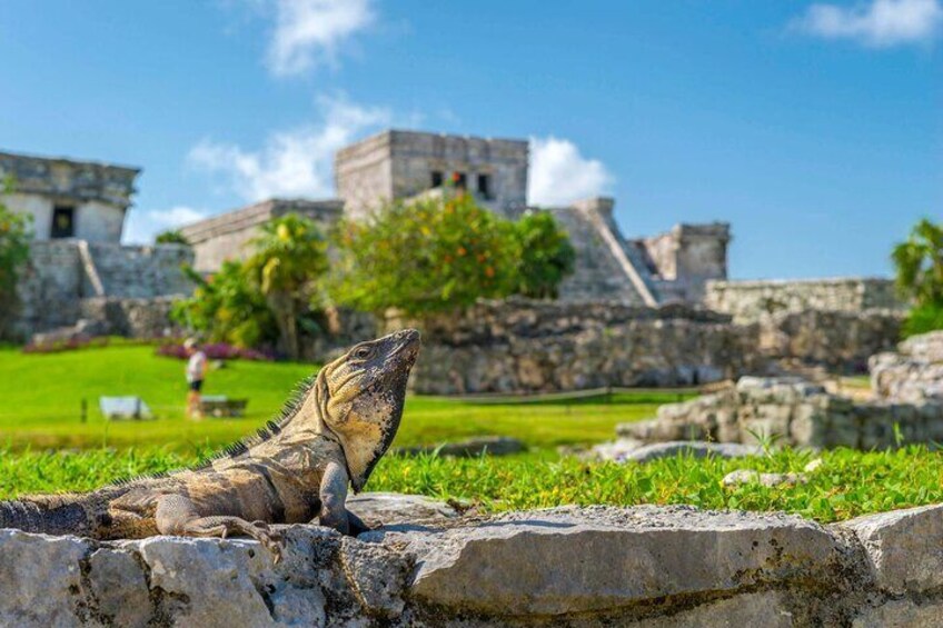 Self Guided Audio App Tour of Ruins in Tulum (no ticket)