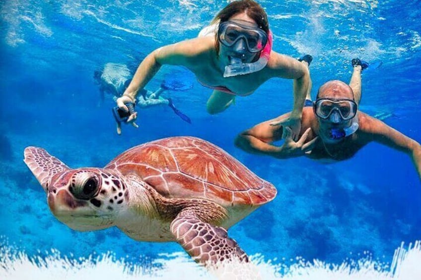 Mirissa: Unforgettable Snorkeling Experience with Turtles