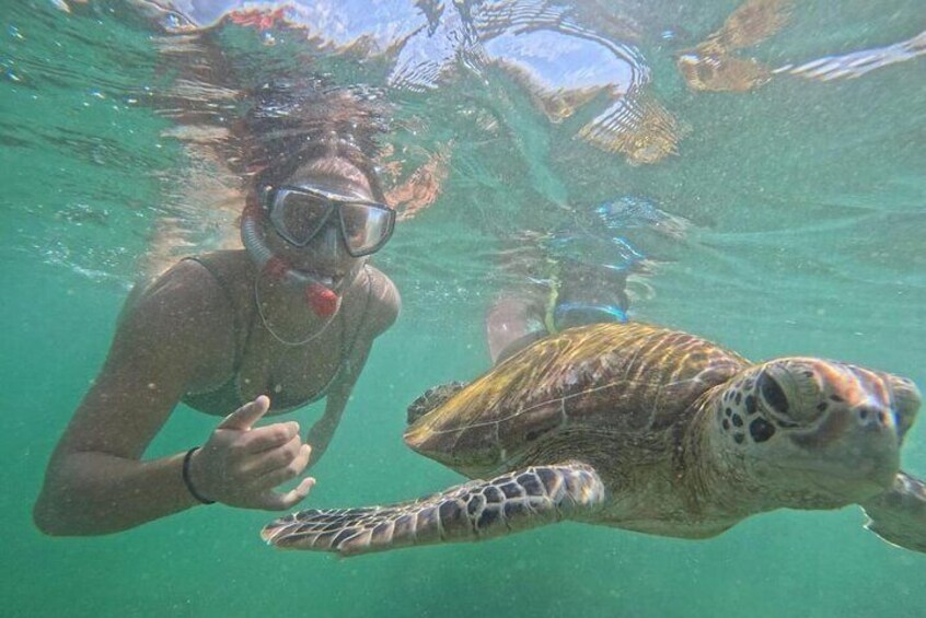 Mirissa: Unforgettable Snorkeling Experience with Turtles