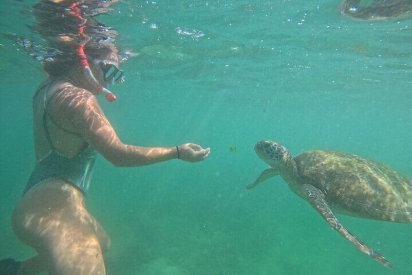 Mirissa: Unforgettable Snorkeling Experience with Turtles