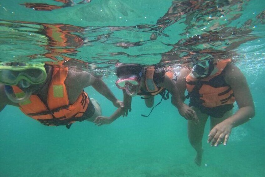 Mirissa: Unforgettable Snorkeling Experience with Turtles