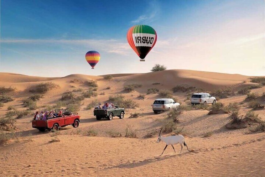 Dubai Balloon Flight, Camel and Vintage Car Ride Tour