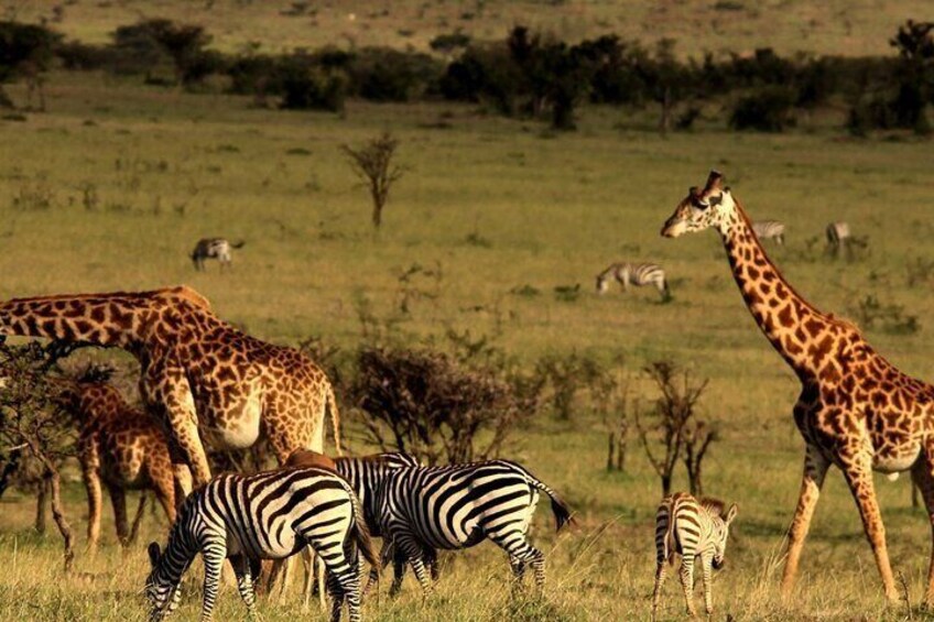 Durban to Cape Town 7 Day Adventure