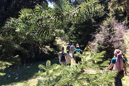 Gaia's Mythical Corycian Cave Hiking