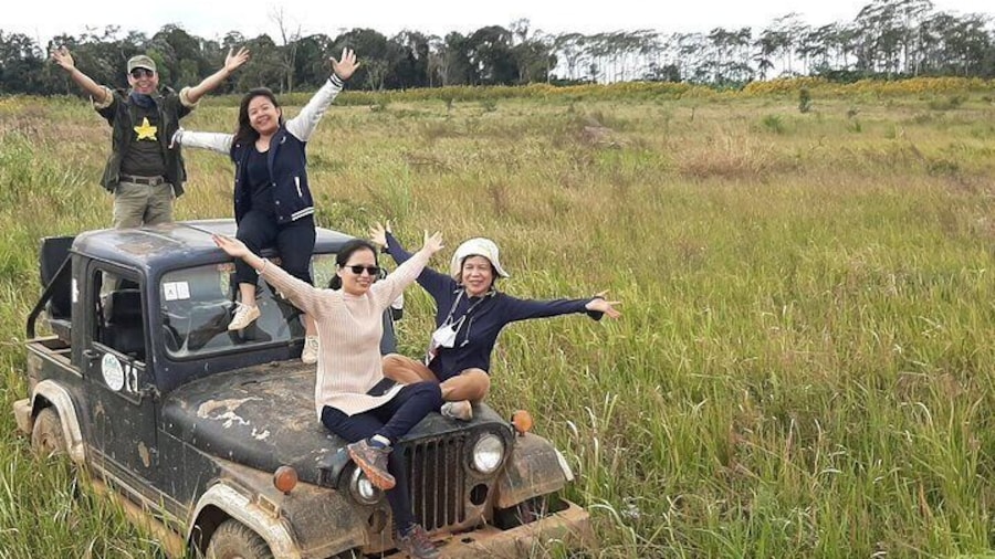 Full Day Jeep Tour and Mystic Mountain Coffee Farm