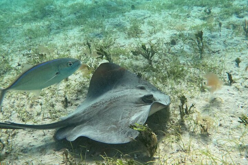 Culebra All-Inclusive Boat Adventure with Transport from San Juan