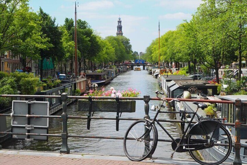 Private Keukenhof & Delft Guided Tour from Brussels Full-Day