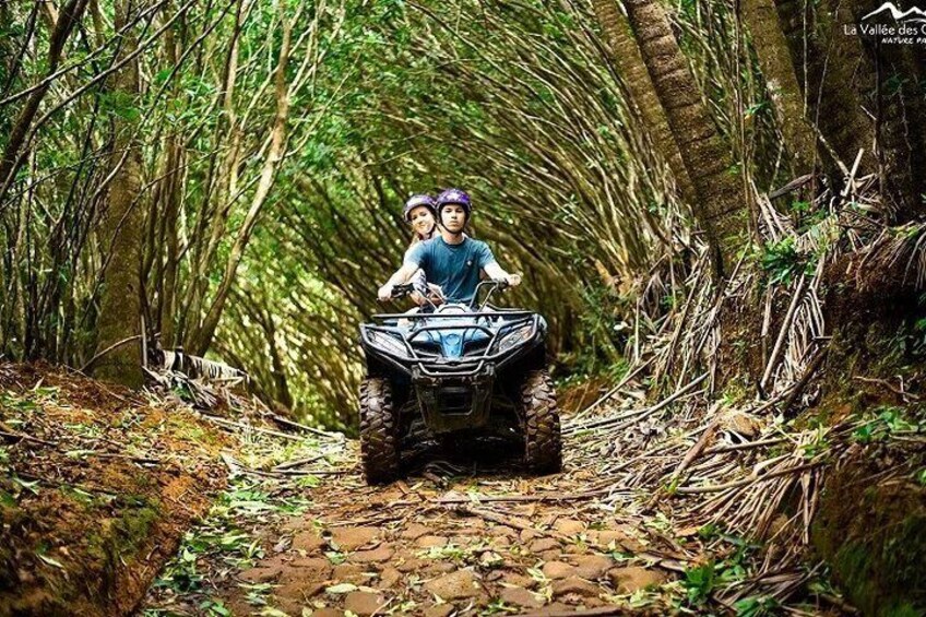 Valles Des Couleur Nature Park and Gris Gris Beach Private Tour