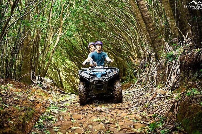 Valles Des Couleur Nature Park and Gris Gris Beach Private Tour