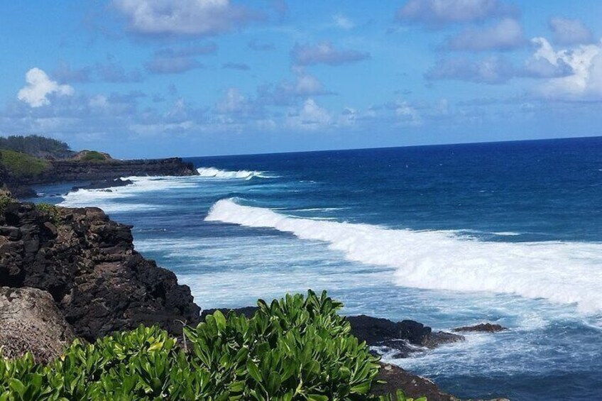 Valles Des Couleur Nature Park and Gris Gris Beach Private Tour