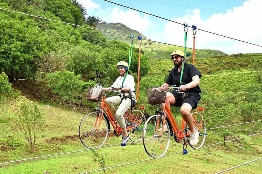 Valles Des Couleur Nature Park and Gris Gris Beach Private Tour