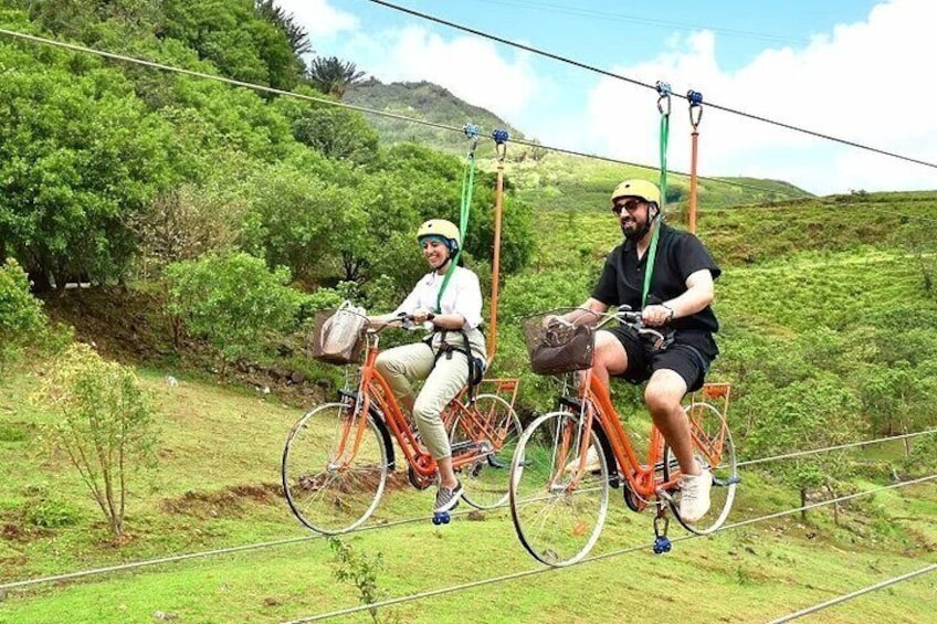 Valles Des Couleur Nature Park and Gris Gris Beach Private Tour