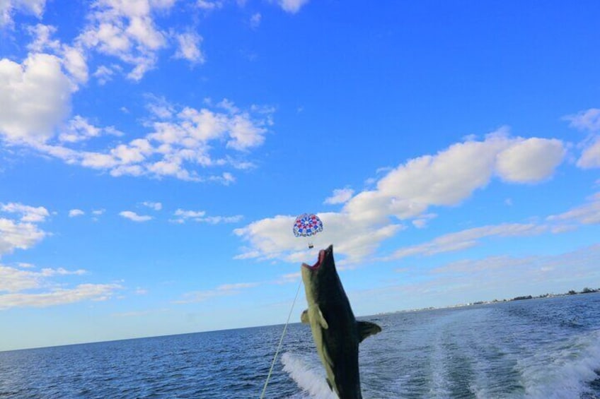90-Minute Parasailing Adventure In Anna Maria Island, FL